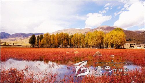 稻城亞?。?一個美得驚世駭俗的地方