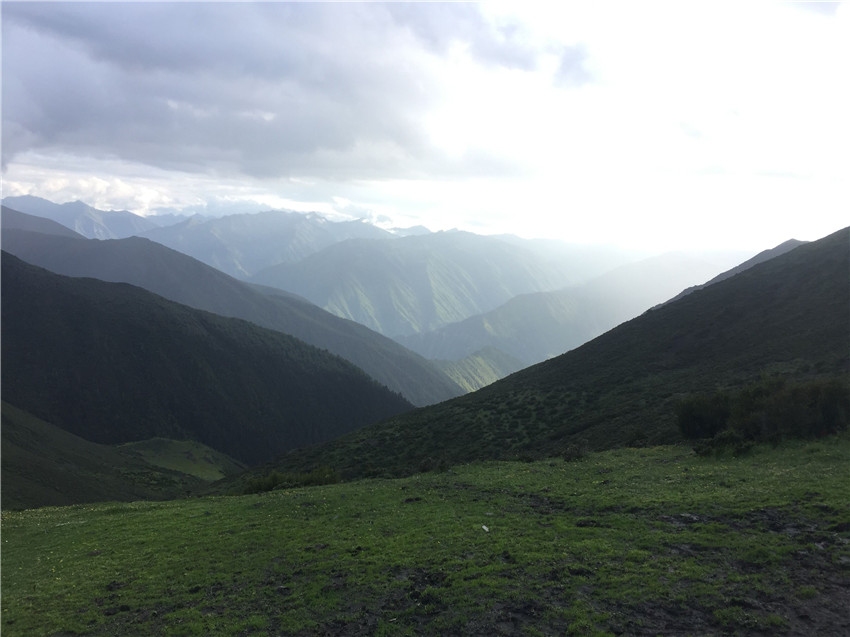 牧場遠(yuǎn)眺。.jpg