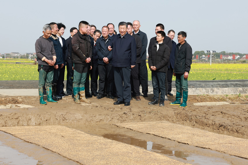2024年3月18日至21日，中共中央總書記、國家主席、中央軍委主席習(xí)近平在湖南考察。這是19日下午，習(xí)近平在常德市鼎城區(qū)謝家鋪鎮(zhèn)港中坪村走進(jìn)田間，察看秧苗培育和春耕備耕進(jìn)展。新華社記者 王曄 攝